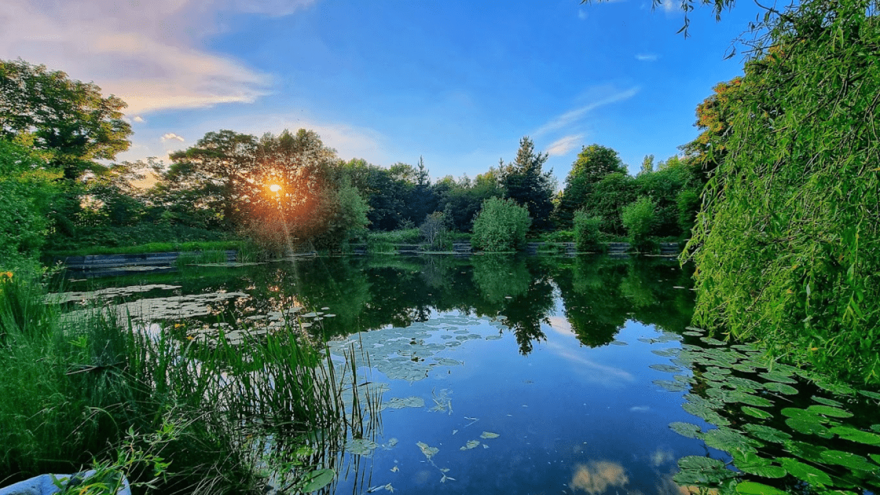 More than just fishing: Volunteering at my local pond to create a lasting impact for community members